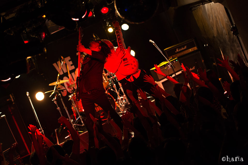 2015/06/14 鶴 神戸・太陽と虎